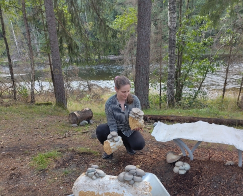 Hella sopperi - bilde frå produsenten En kvinne i stripete skjorte plukker sopp